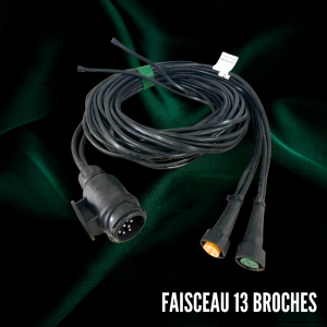 Faisceau 13 broches