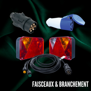 Faisceaux, câbles et adaptateur
