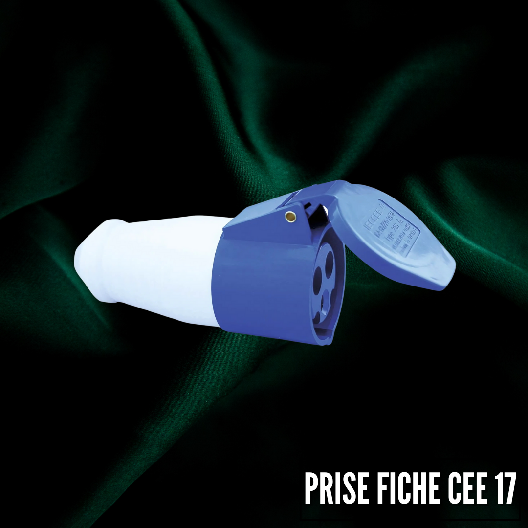 Prise fiche CEE 17