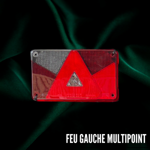 Feu arrière gauche Multipoint 5