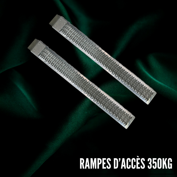 Rampes d'accès 350 kg